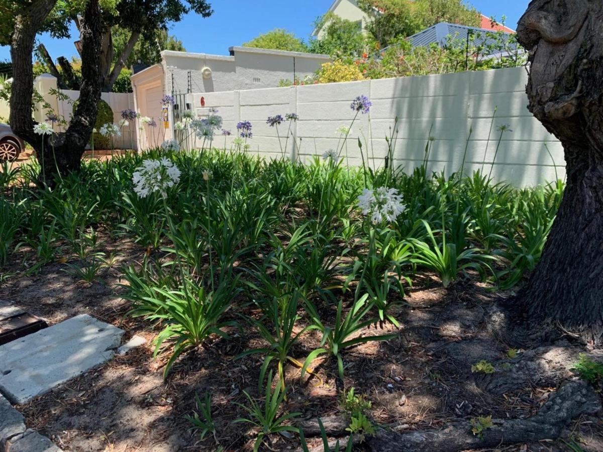 Squirrels Way Cottages Cape Town Exterior photo